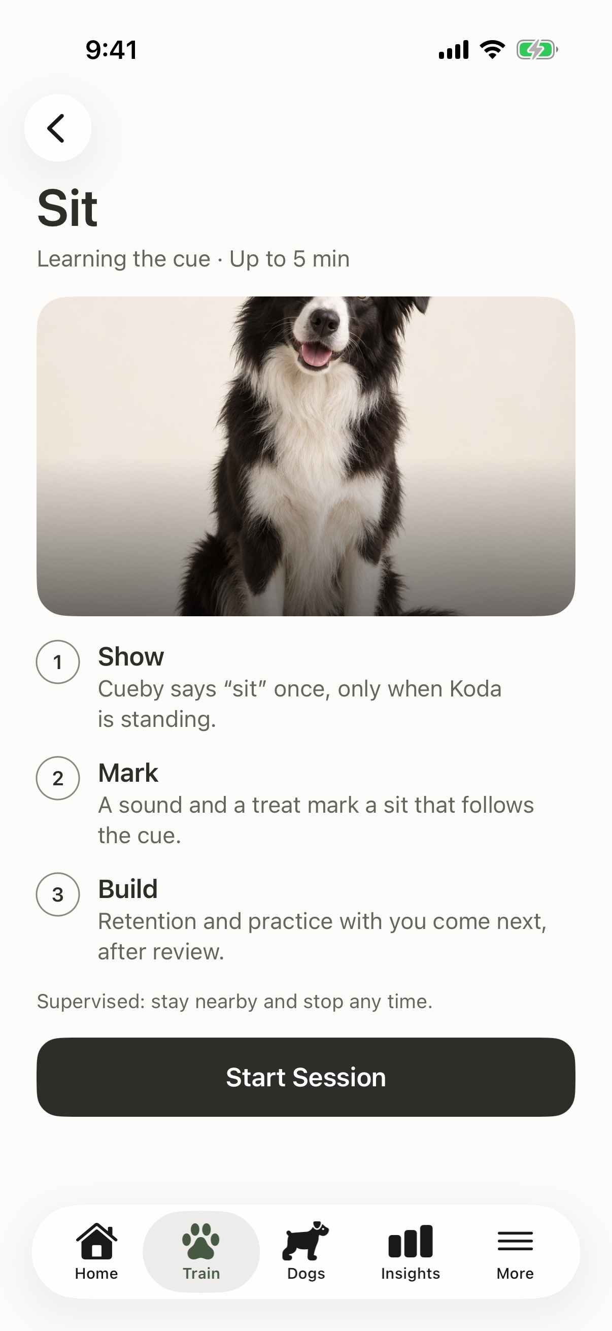 A Cueby training session in the app