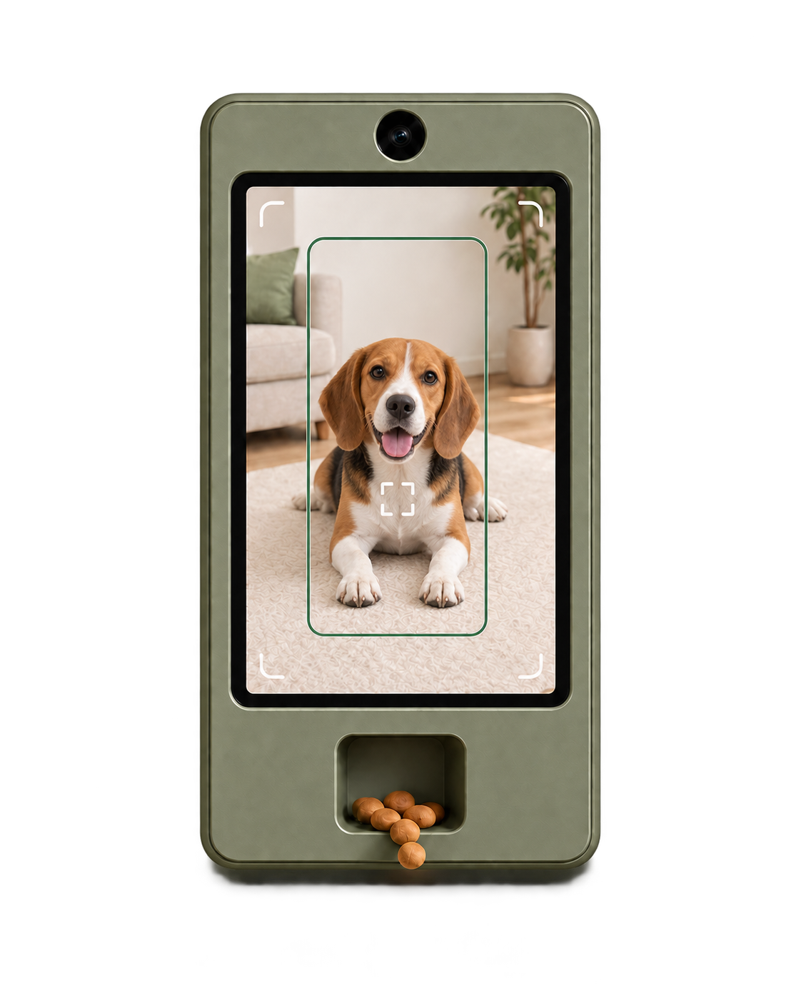 Cueby watching a beagle lie down
